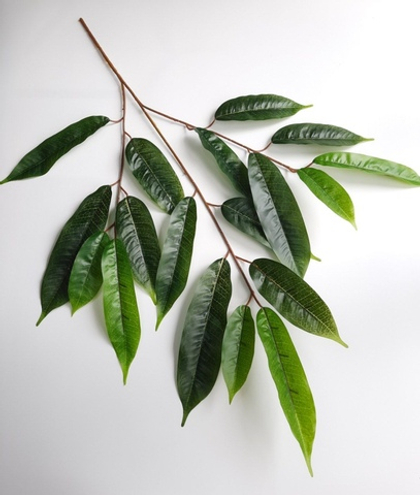 Ветки персика / Арт 1031