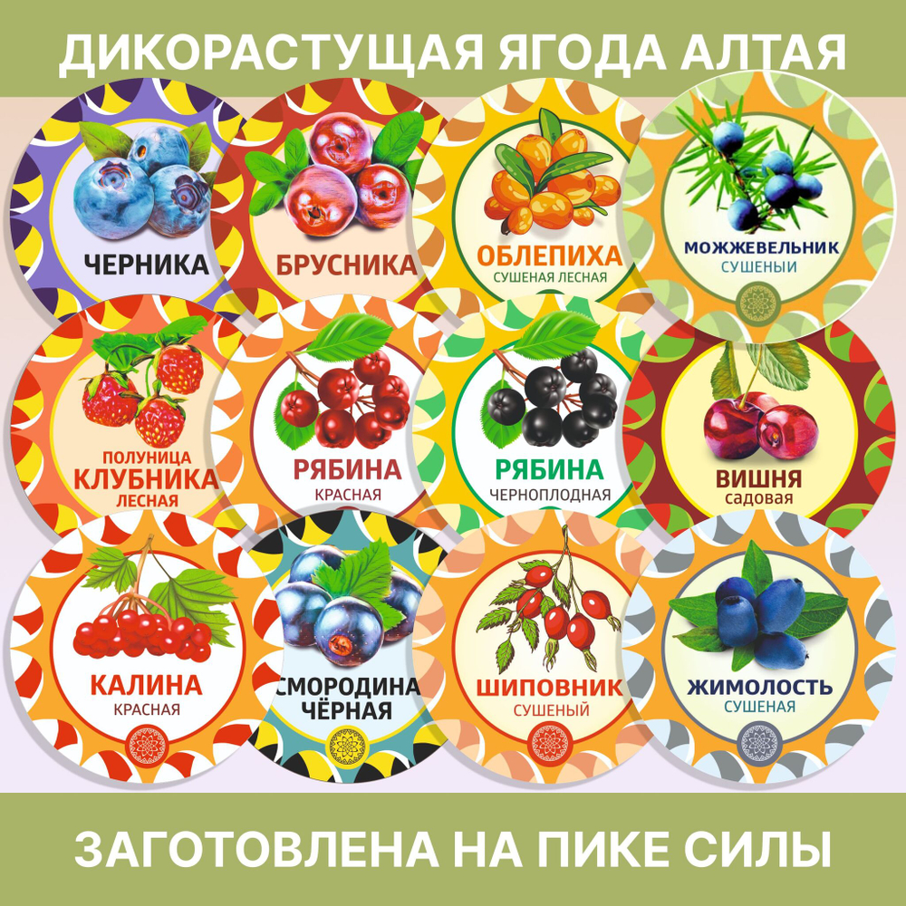 Жасмин цвет.