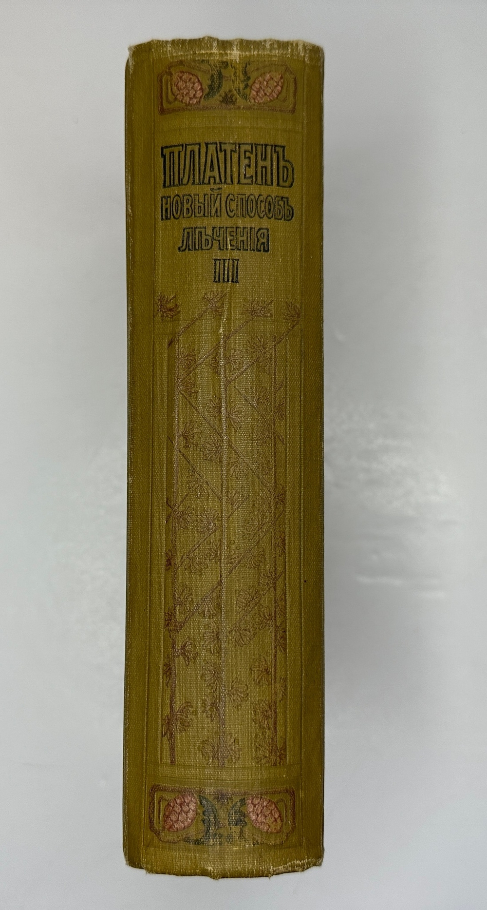Платен М. Новый способ лечения. Лечение целебными силами природы. — Берлин: Изд. Просвещение, 1901