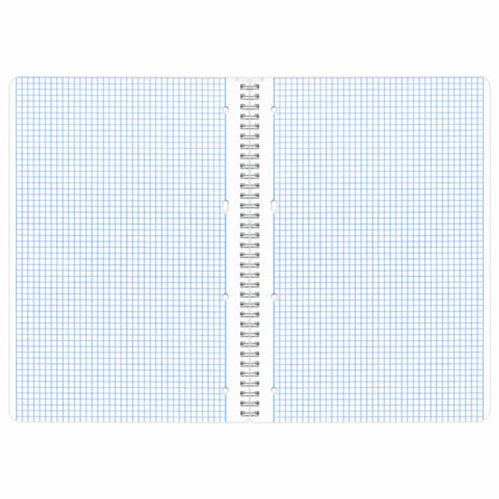 Тетрадь А4, 96 л., BRAUBERG, гребень, клетка, обложка картон, КРАСИВЫЕ ЦВЕТЫ, 403072