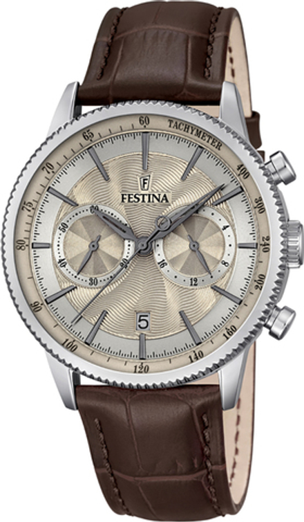 Мужские наручные часы Festina F16893/7