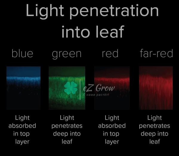 Полезные спектры освещения для растений и Эффект Эмерсона