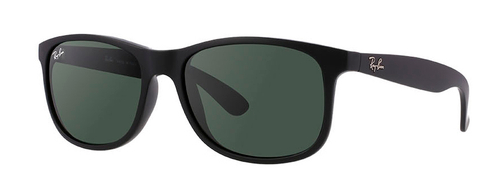 Ray Ban 4202