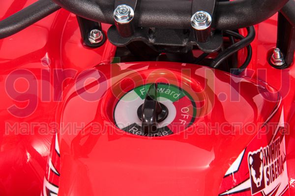 Детский электроквадроцикл WHITE SIBERIA SNEG MINI 1000W - Красный