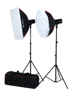 Комплект импульсного света Raylab Axio IV 250 Start Kit