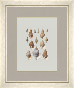 Картина 343 (X)