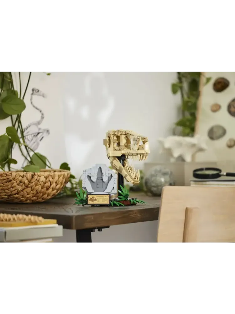 Конструктор Jurassic World 76964 Череп тираннозавра