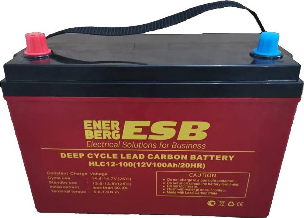 Тяговый аккумулятор ESB HLC12-100
