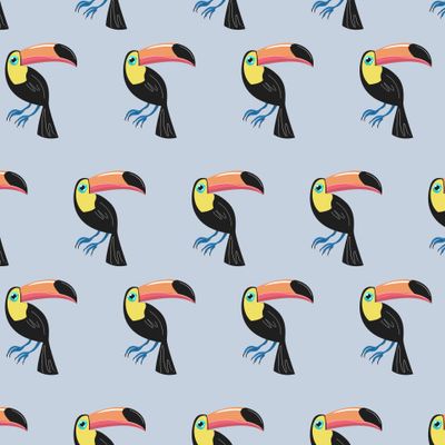 Тукан, птица на голубом фоне