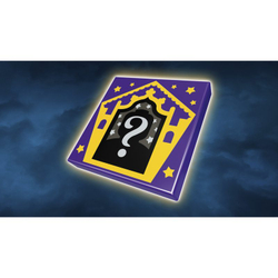 Harry Potter TM - Посещение деревни Хогсмид 76388