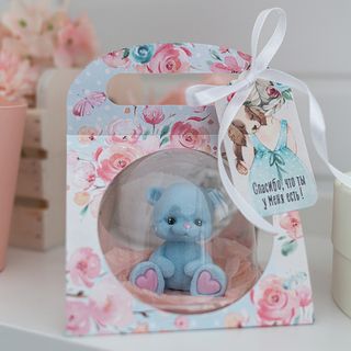 Сумочка для купола Весенний денек