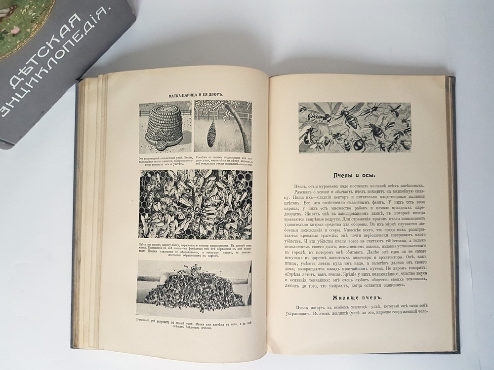 "Детская энциклопедия". 1914г.