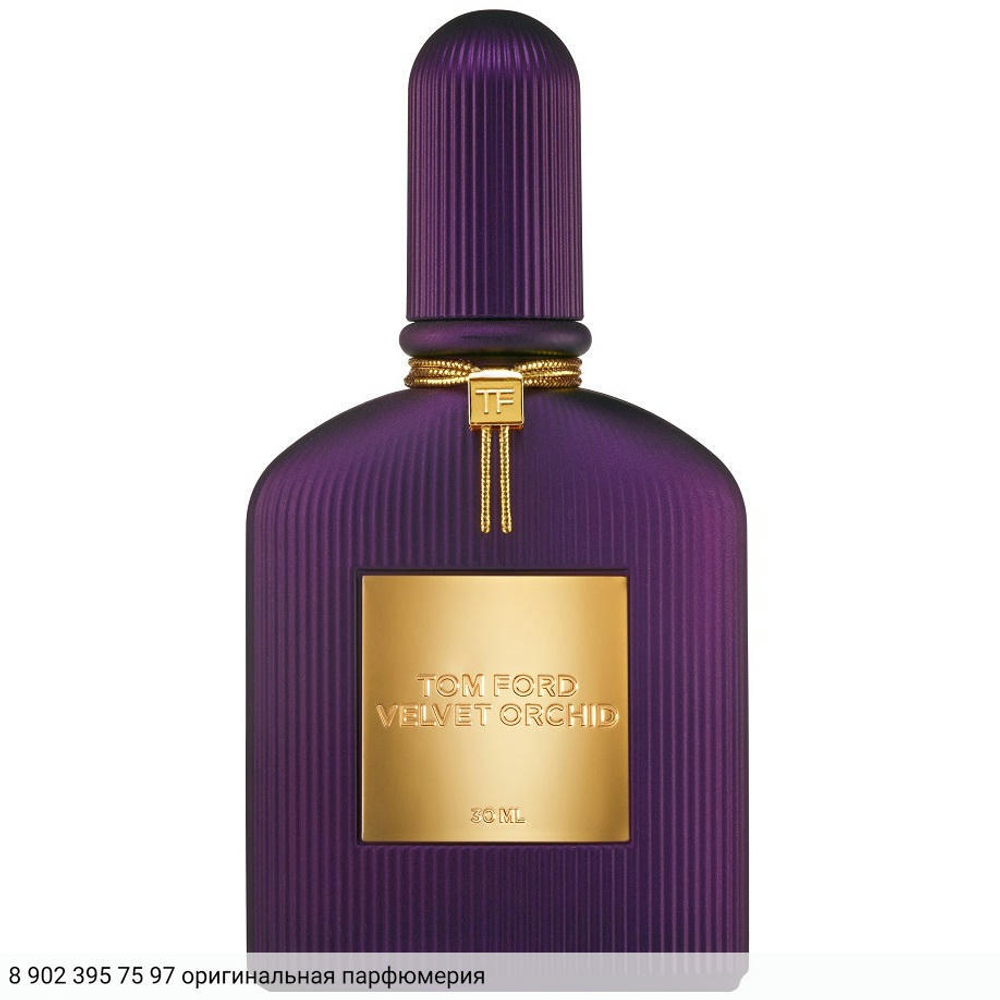 Velvet Orchid Lumiere
