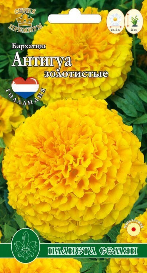 Бархатцы прямостоячие Антигуа золотистые