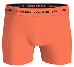 Мужские спортивные боксеры Björn Borg Cotton Stretch 3P - разноцветный