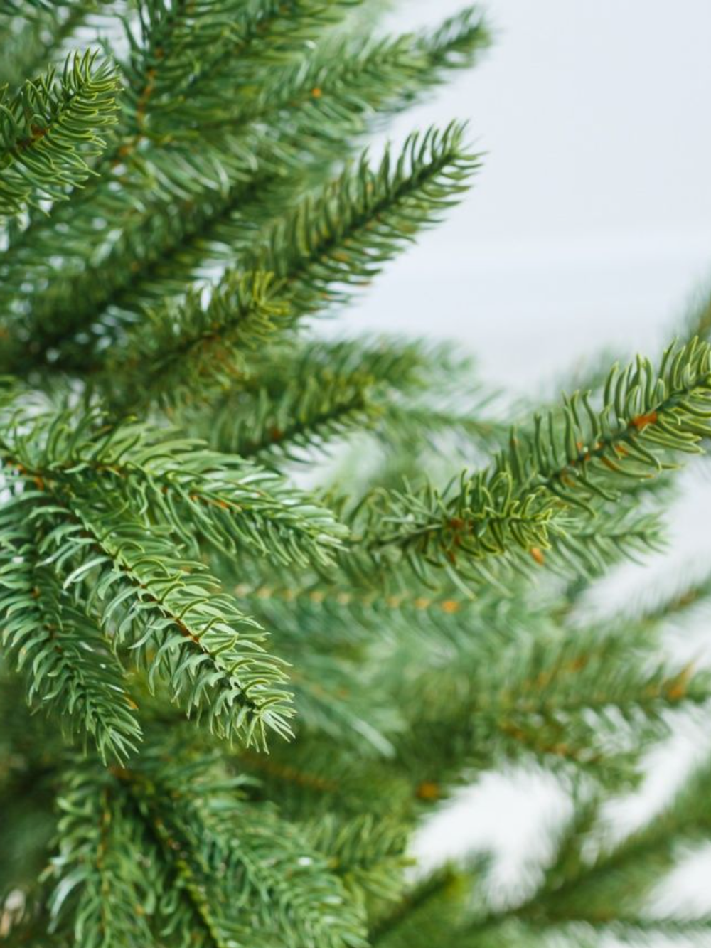 Елка искусственная «НОРДМАН» (Литая) 180 см / 1.8 м