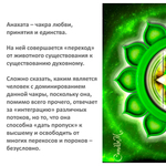 Чакровые свечи из пчелиного воска, 6х5 см, набор