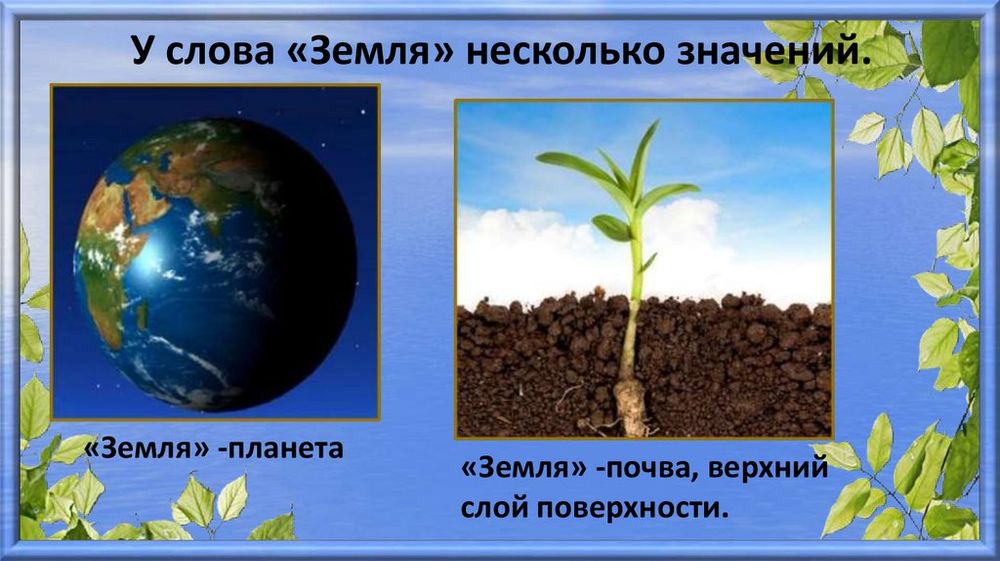 Коллекция Почва  и ее состав — купить по ФГОС | Учебный стандарт