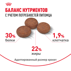 Royal Canin Mini Digestive Care Корм сухой для взрослых собак мелких размеров с чувствительным пищеварением - 3 кг