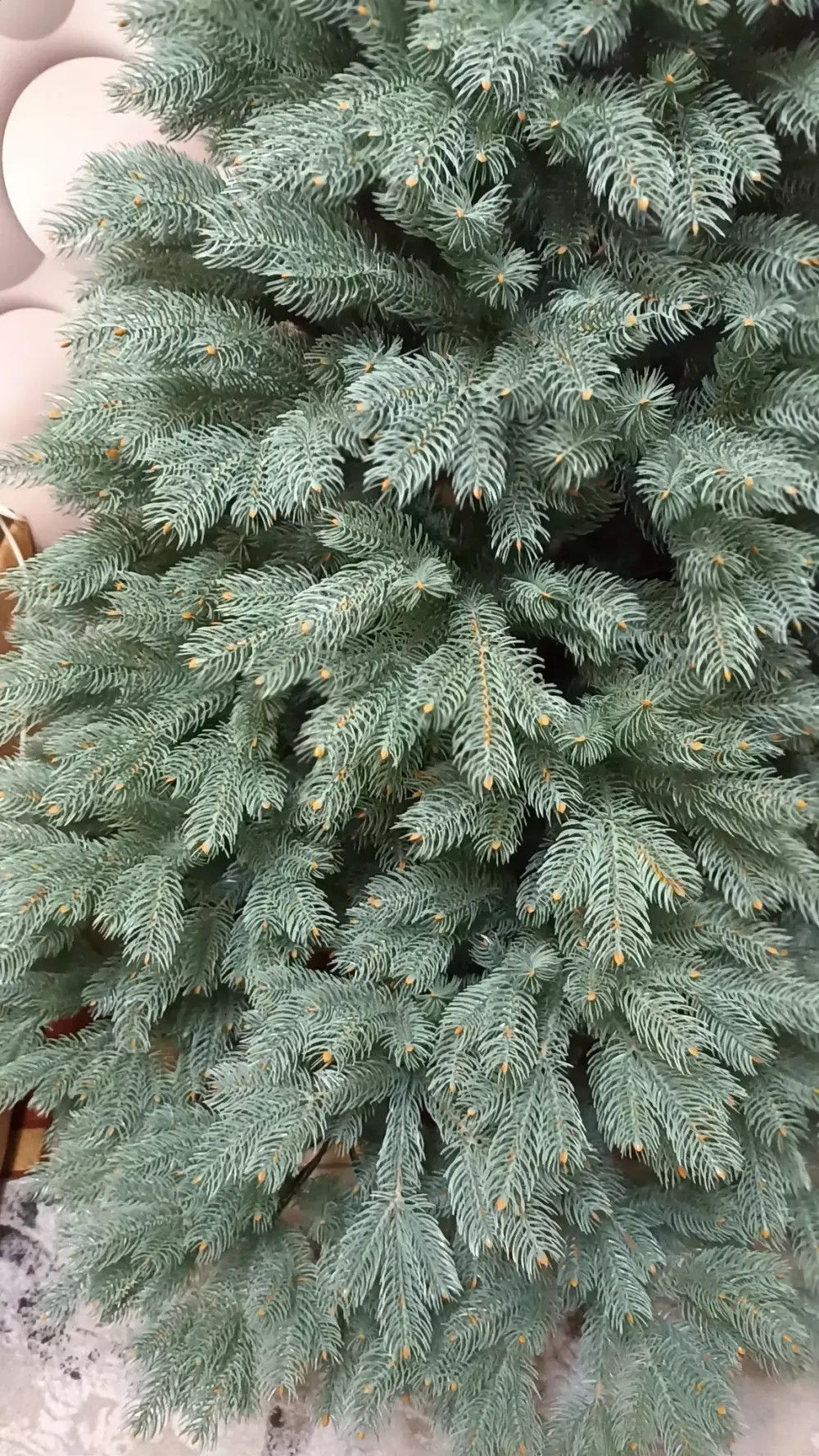 Ель голубая искусственная «Бордо» (Литая хвоя) 240 см / 2.4 м