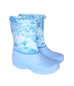 Сапоги Норды женские Д404