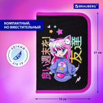 Пенал BRAUBERG 1 отделение 1 откидная планка полиэстер 21х14 см "Anime girl" (2 штуки в упаковке)