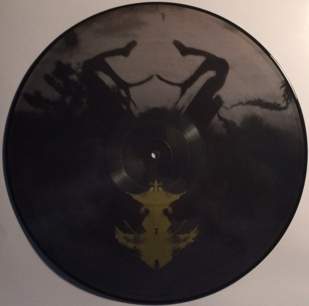 Soundgarden / Echo Of Miles - Scattered Tracks Across The Path (Limited Edition)(Picture Disc)(6LP)