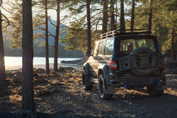 Калитка под запаску BMS ALFA для УАЗ Патриот 2008-2024