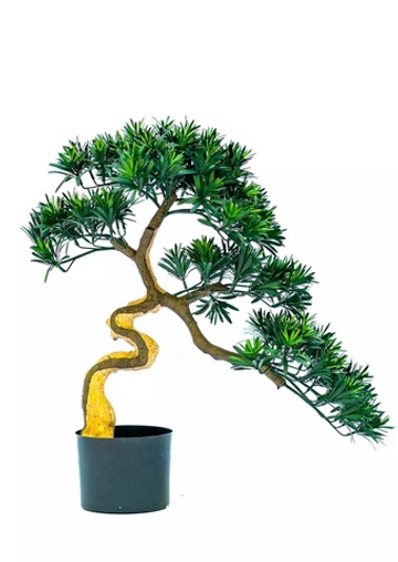 Бонсай листовой в. 63 см/ ш. 65 см (белый ствол)