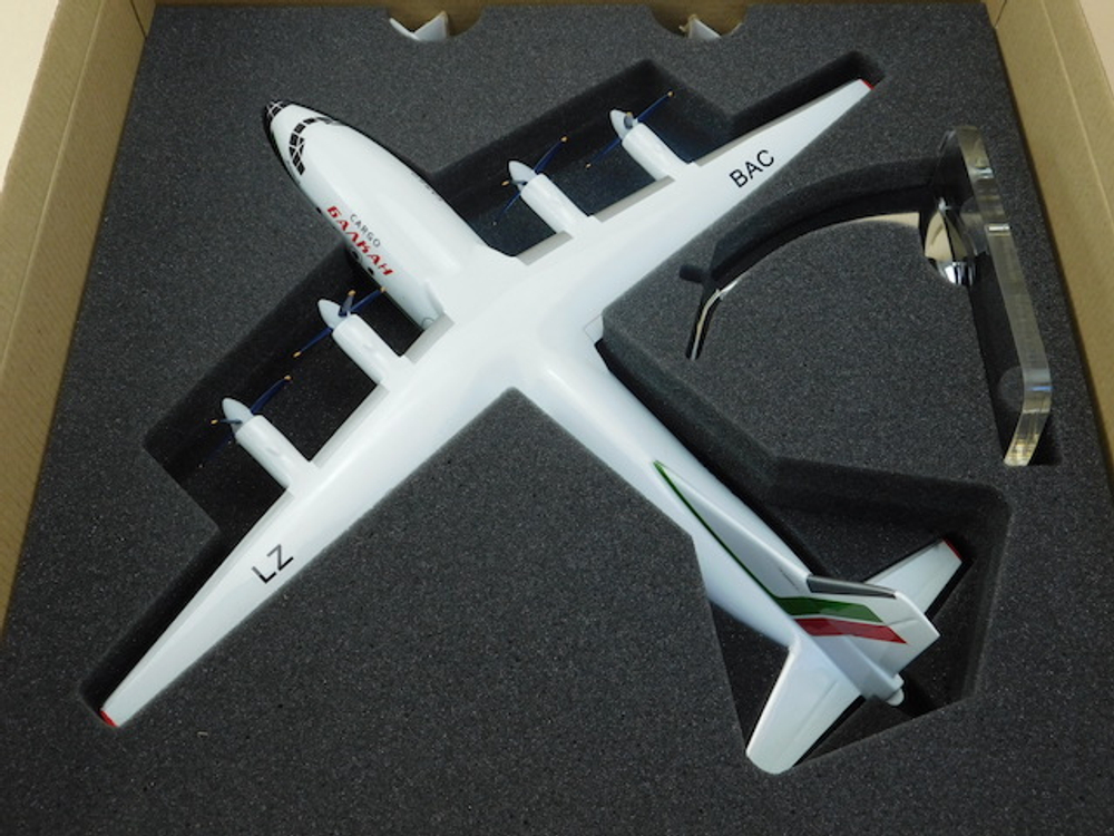 Модель самолета Ан-12 (М1:100, Balkan)