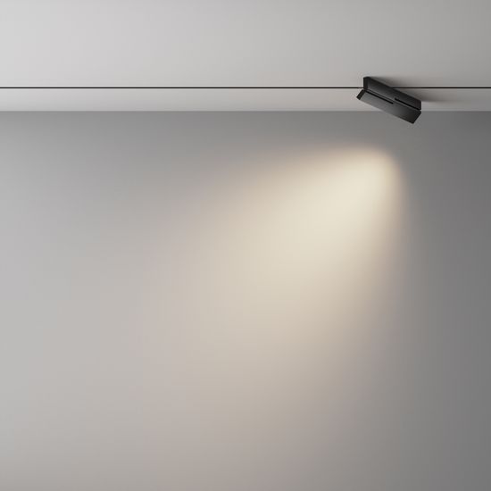 Трековый светильник Technical TR242-2-12W4K-B