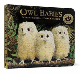 Owl Babies: 25th Anniversary Ed. (board book)