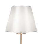 Напольный светильник (торшер) Freya FR1006FL-01G