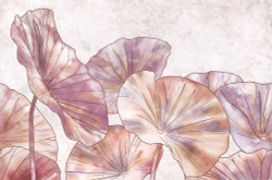 Коллекция Grafika Natura