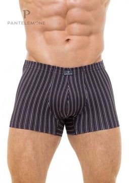 Трусы мужские боксеры для больших мужчин Pantelemone PMHB-1168, полоса какао