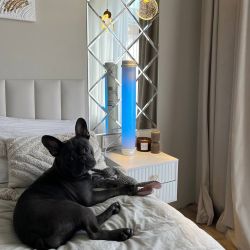 UDG-M30A UVCB WHITE Рециркулятор закрытого типа с бактерицидной лампой T8. Настенный. Без озонирования. 253.7 нм. Корпус белый. ТМ Uniel