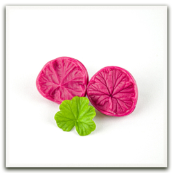 Листья пеларгонии малые (герани)