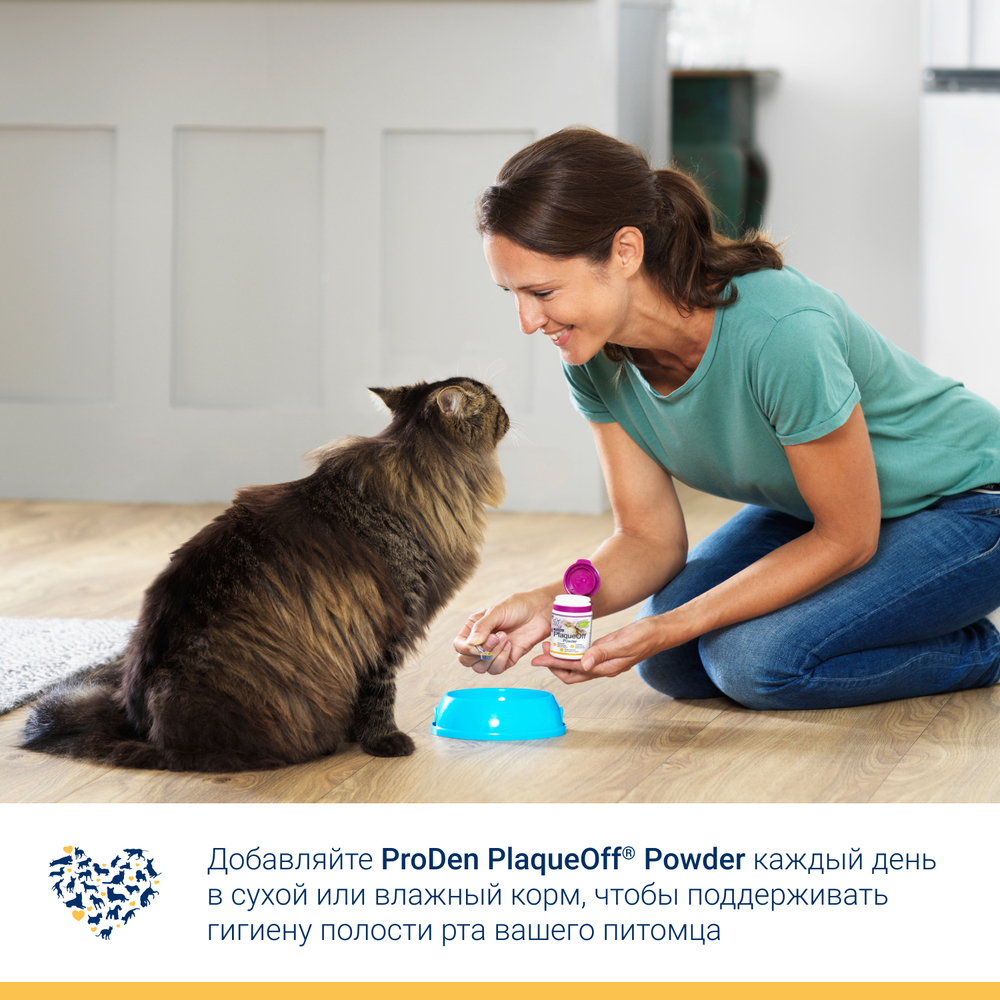 PRODEN PLAQUEOFF Средство для профилактики зубного камня у собак и кошек, 40 г