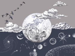 Коллекция COSMOS