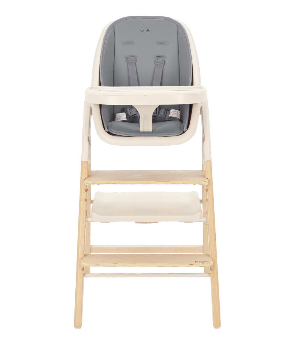 Cтульчик для кормления Carrello Ergo CRL-16701