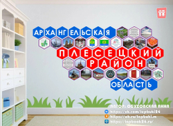 Стендбук "Архангельская область. Плесецкий район"
