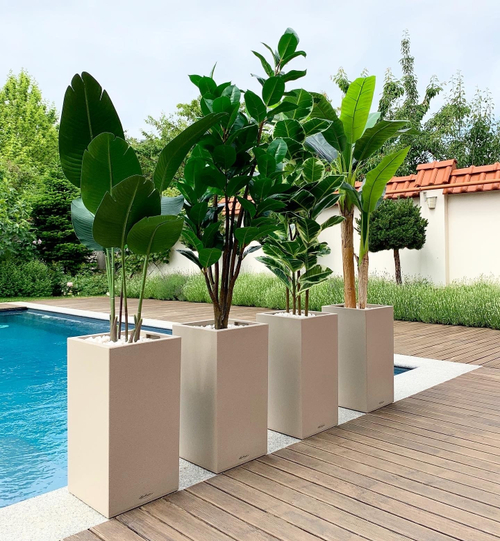 20.05. Озеленение искусственными растениями частного интерьера г.Армавир