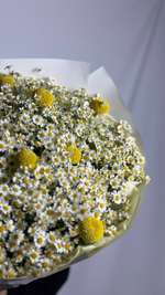 Солнце в тебе