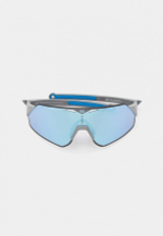 Спортивные очки AVEO Cornea / Grey / Blue Mirror Lens
