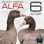 Белолобый гусь Duck Mania "ALFA"