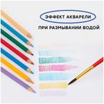 Карандаши акварельные 36 цв. Гамма Лицей + кисть