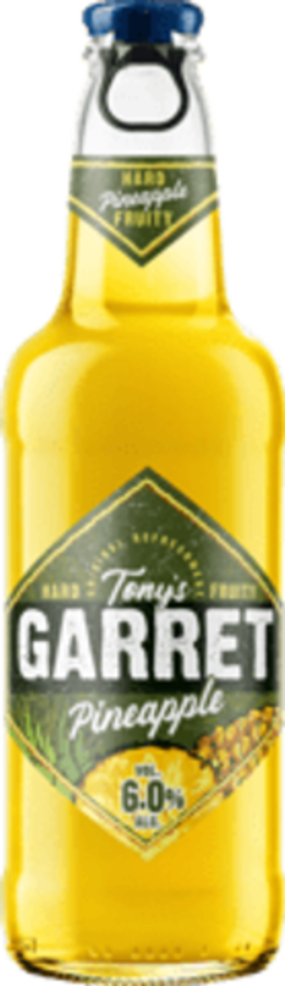 Гаррет АНАНАС 0,4/20