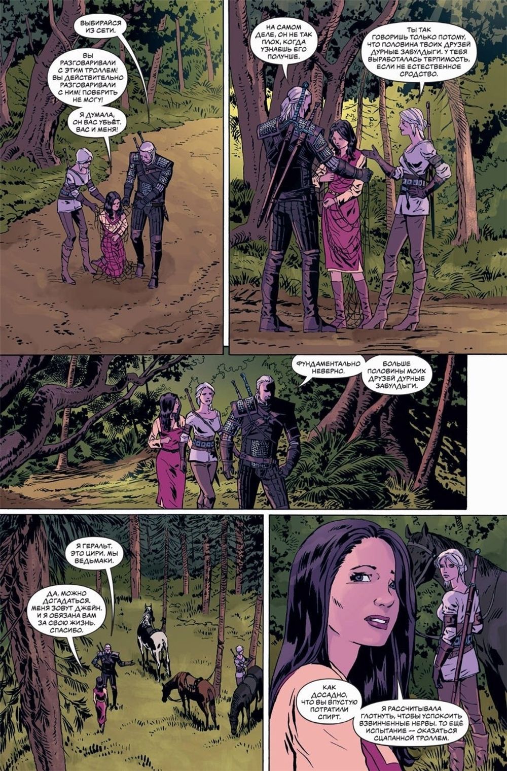 Ведьмак: Проклятие воронов