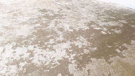 Велюр Джес 36 светло-бежевый