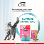 Курица с морковью, 75г влажный корм для котят от 1 до 12 месяцев Purina ONE